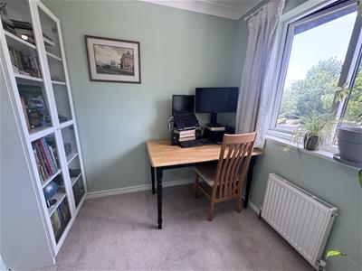 Picture 13